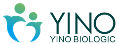 Shandong Yino Materiais Biológicos Co., Ltd.